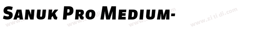 Sanuk Pro Medium字体转换 Sanuk Pro Medium字体转换
